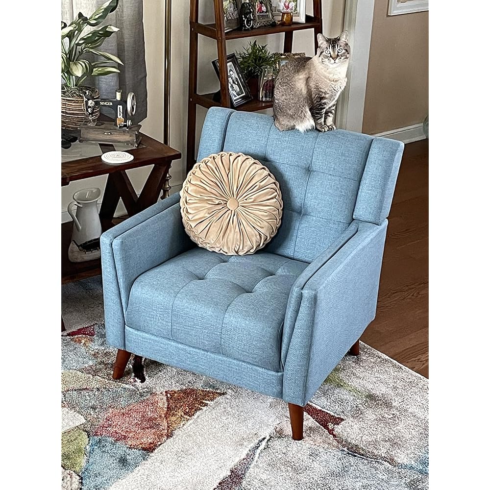 Christopher Knight Home Alisa Mid Century Modern Fabric Arm Chair, Blue and Walnut